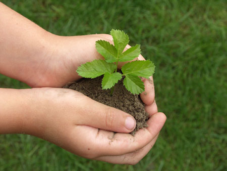 child with plant